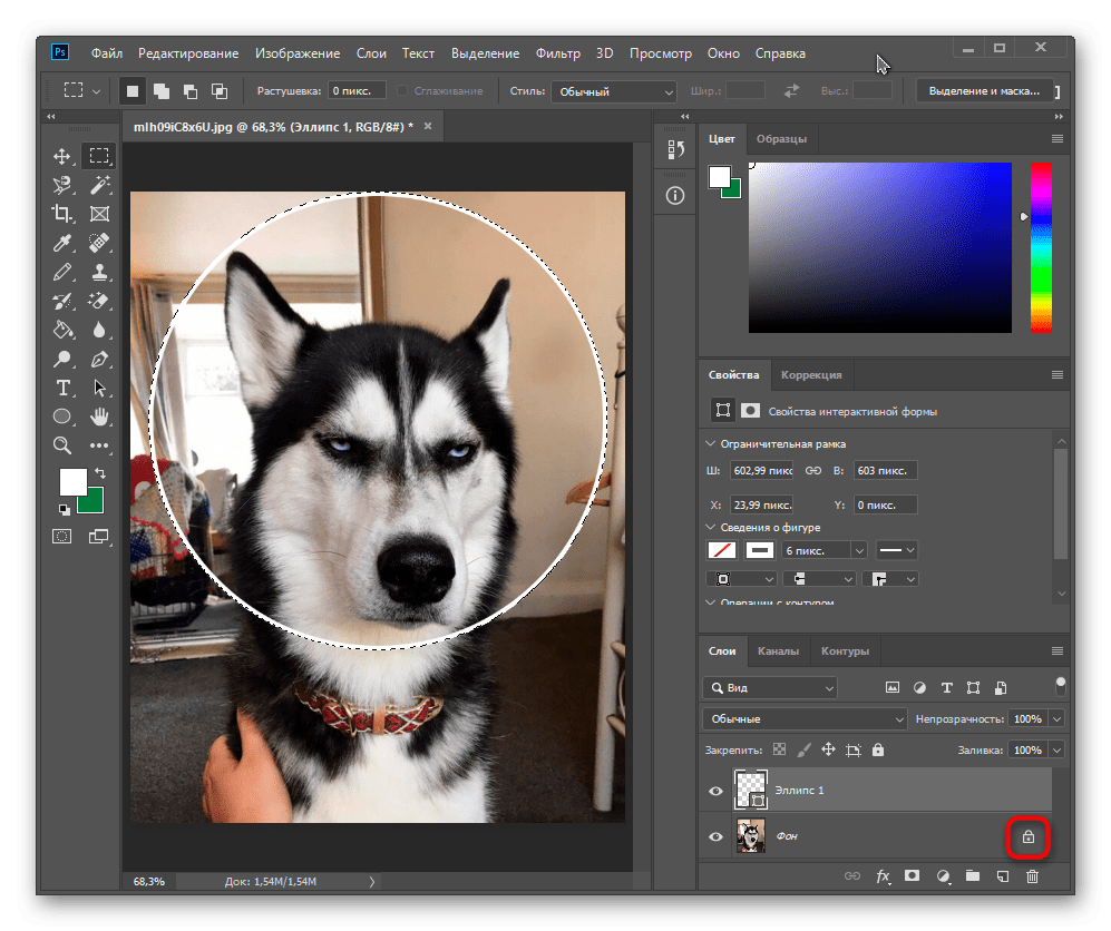 Снятие блокировки с фонового изображения для вырезания круга в Adobe Photoshop