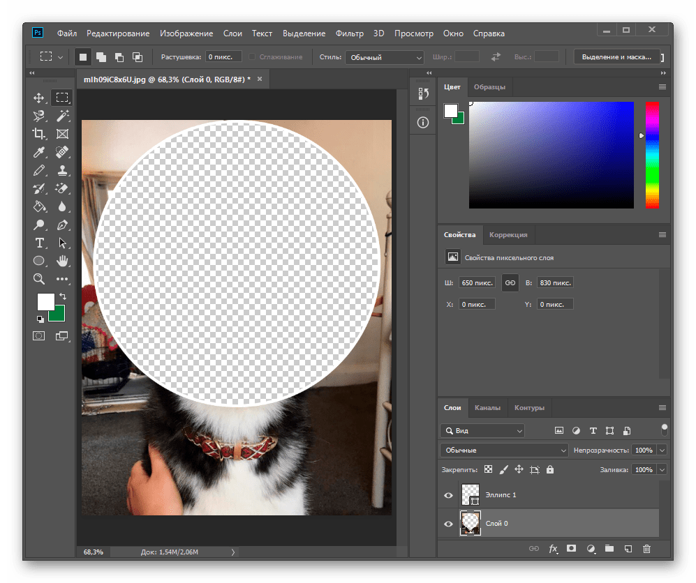 Удаление области под кругом в Adobe Photoshop