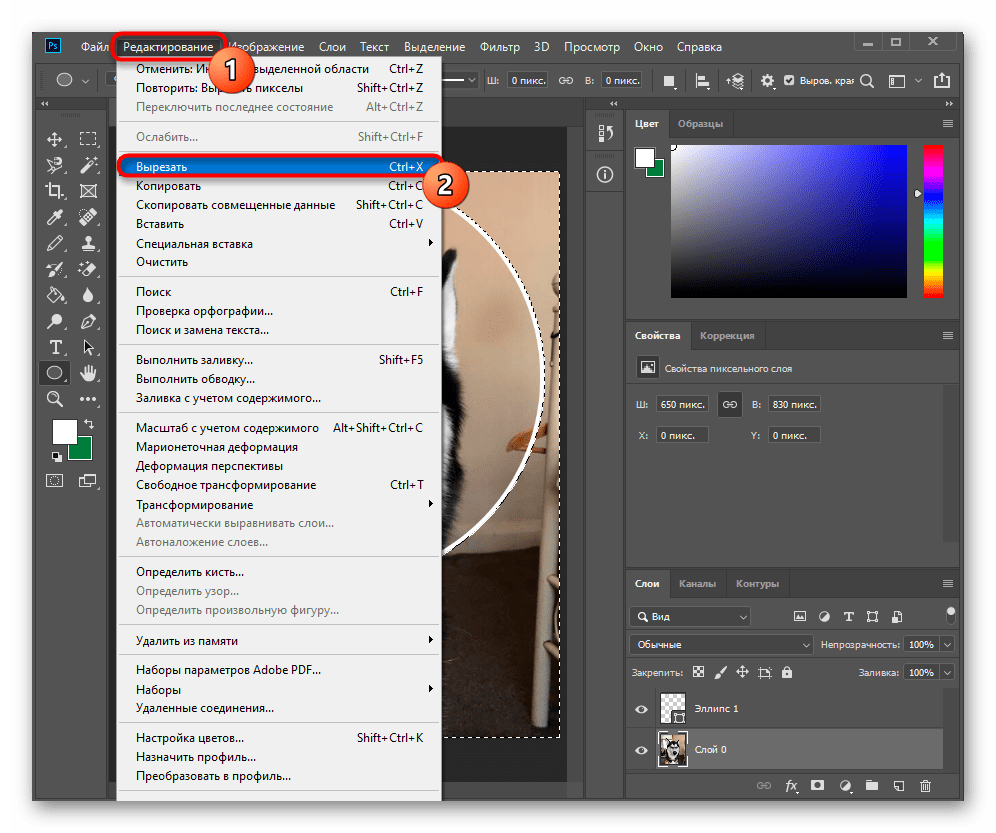 Вырезание инверсированного слоя через панель инструментов при вырезании круга в Adobe Photoshop