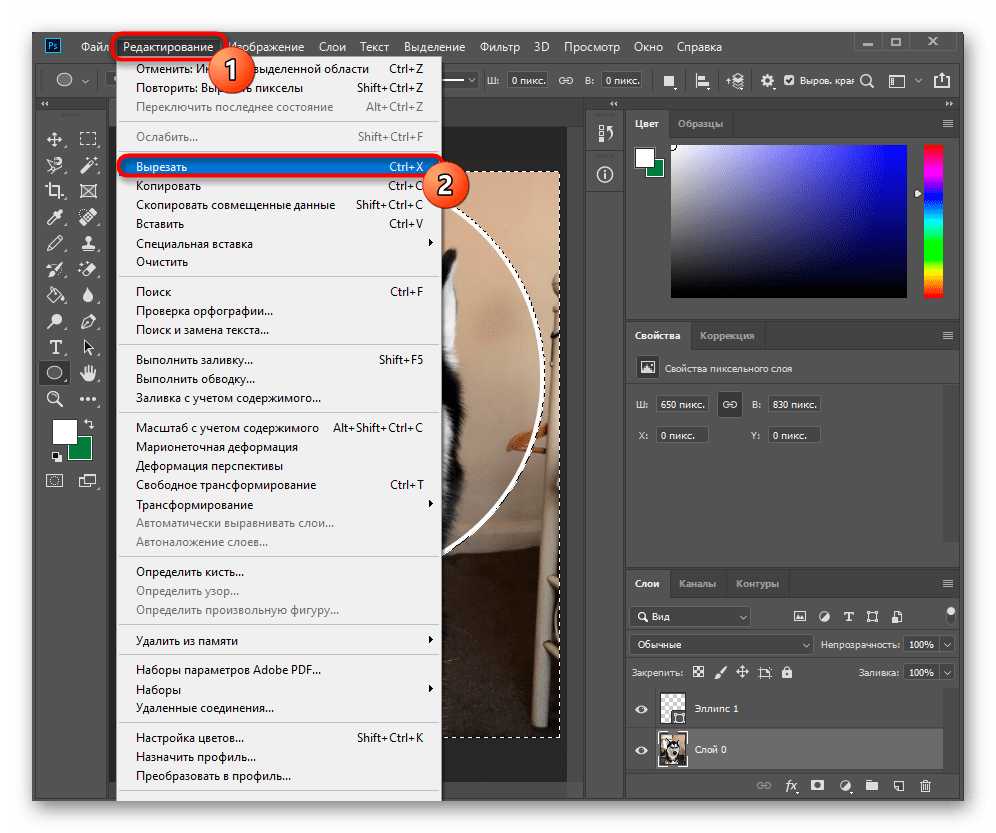 Обрезать по кругу. Слои для фотошопа. Обрезать фото в фотошопе. Обрезать выделенную область в фотошопе. Инструмент обрезки в фотошопе.