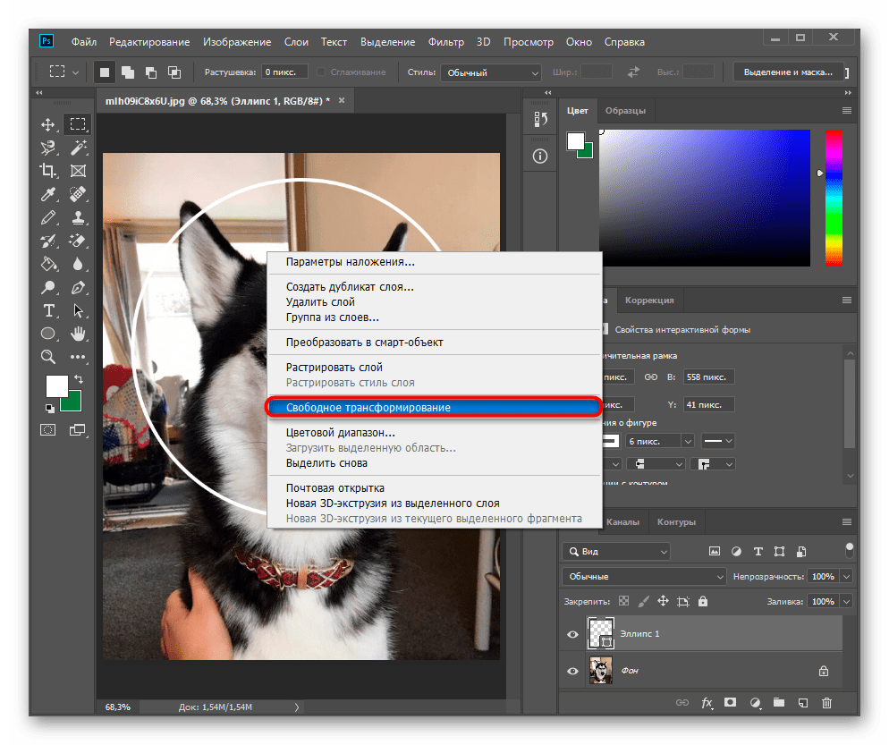 Вызов инструмента Свободное трансформирование для изменения размера эллипса-трафарета при вырезании круга в Adobe Photoshop