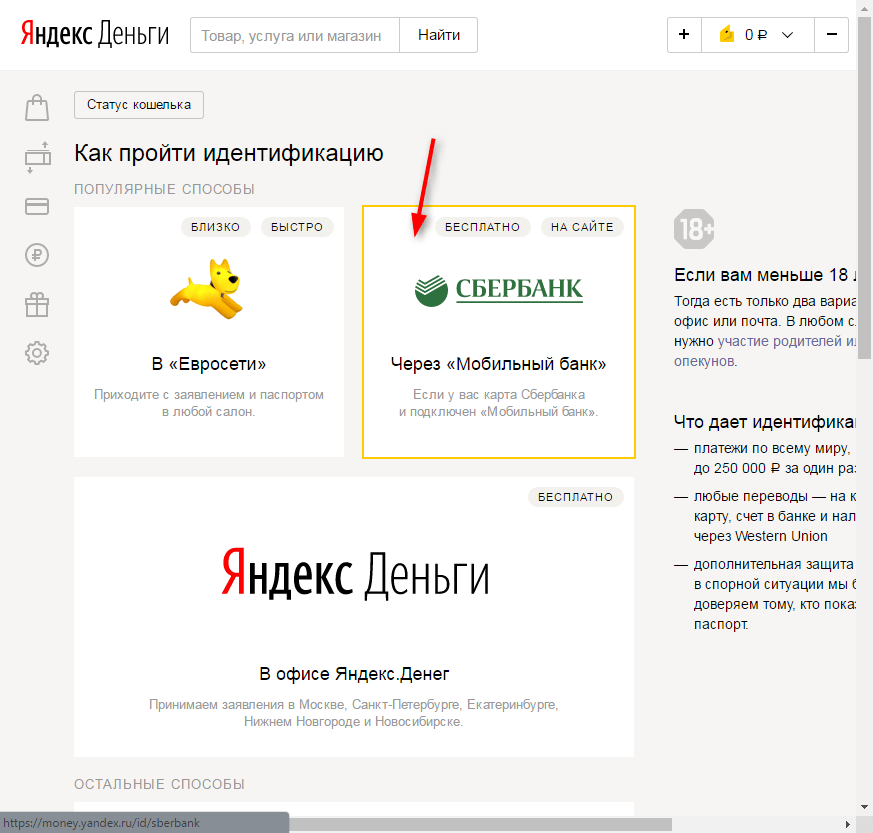 Идентификация Яндекс Кошелька 3