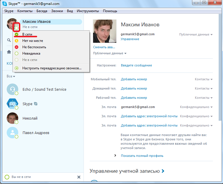 Изменение статуса в программе Skype