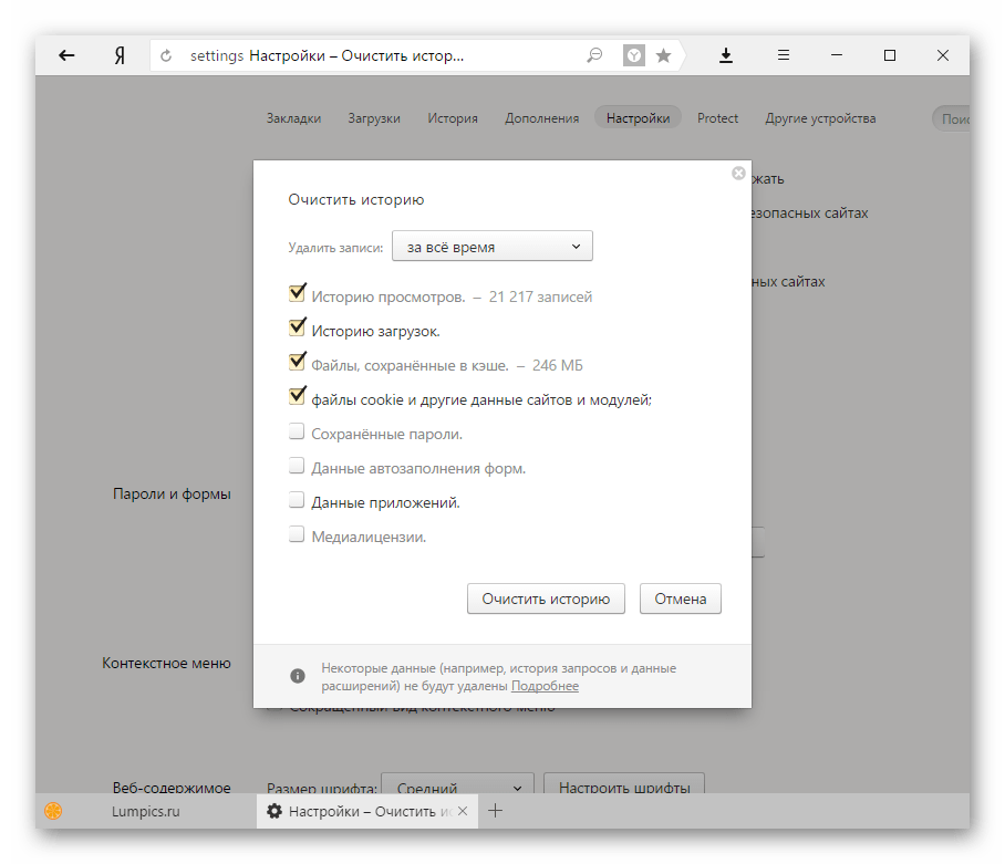 Очистка истории Яндекс.Браузера-2