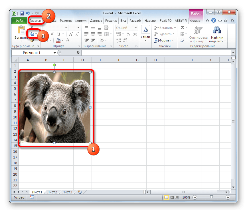 Копирование изображения с помощью кнопки на ленте в Microsoft Excel