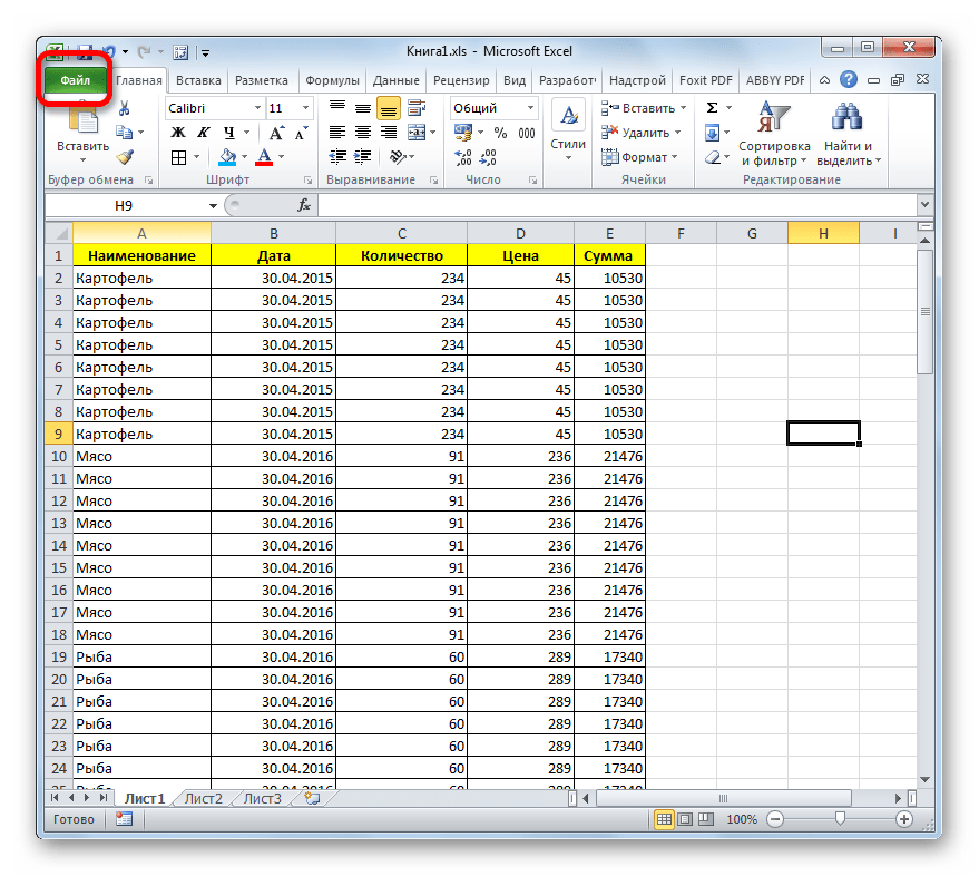 Perehod vo vkladku Fayl v Microsoft Excel 5