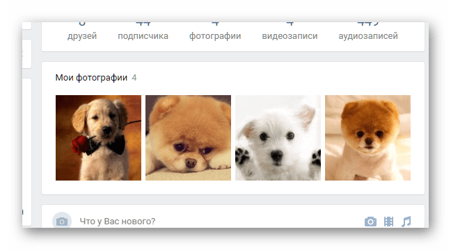Блок с фотографиями на личной странице ВКонтакте.