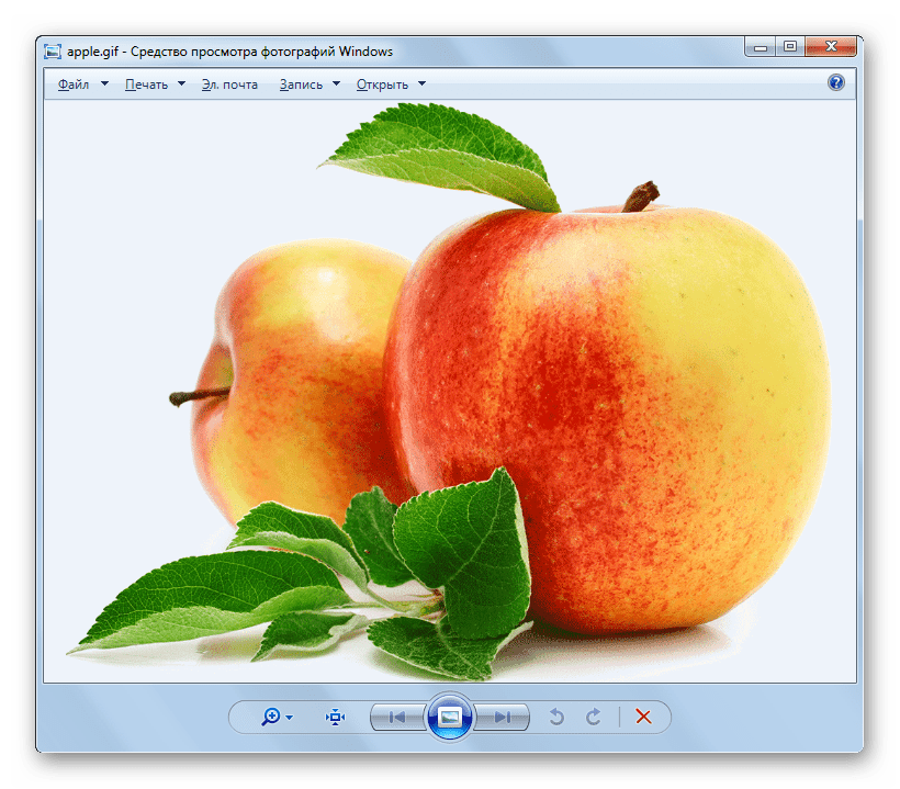 Файл GIF открыт в стандартном средстве просмотра изображений Windows