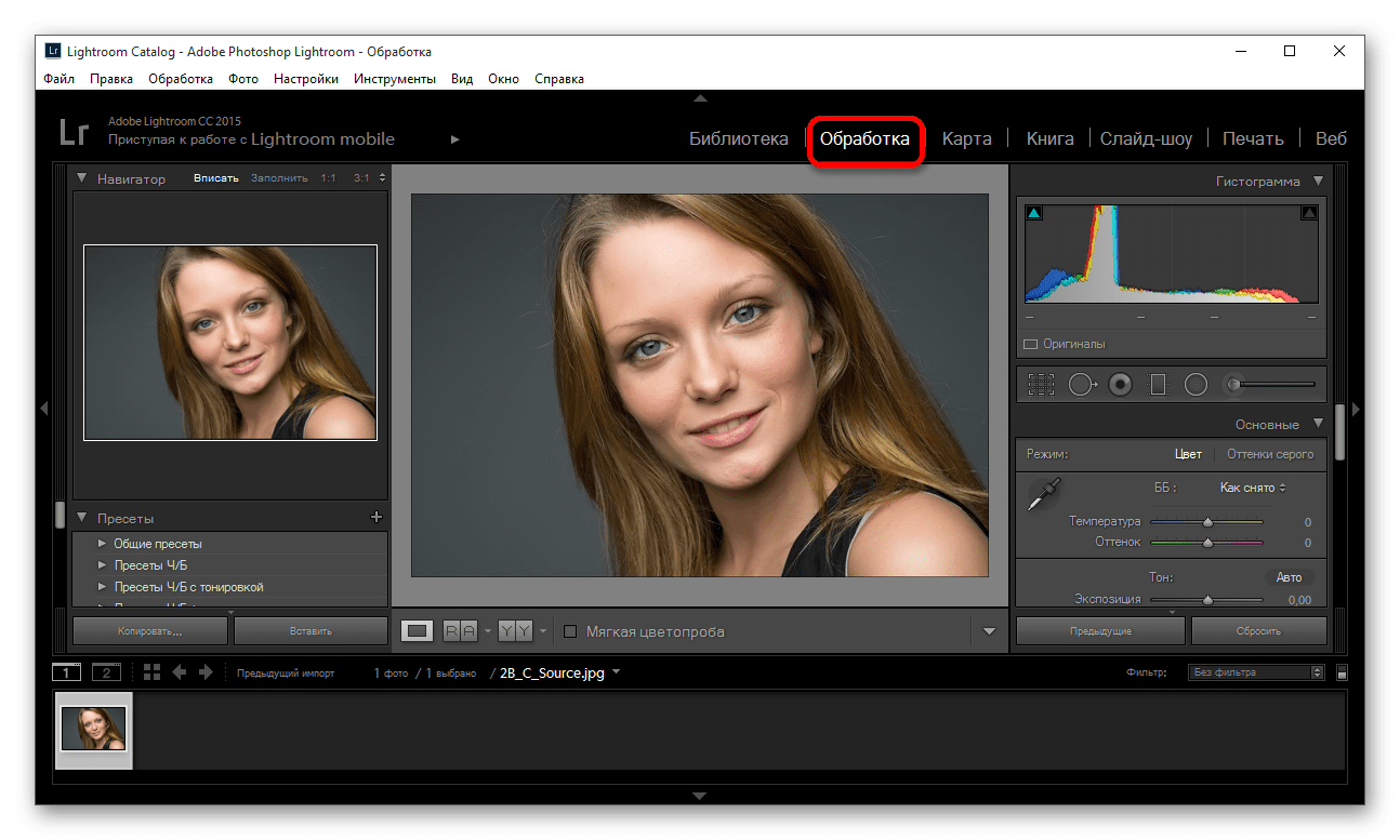 Как добавить текст в lightroom