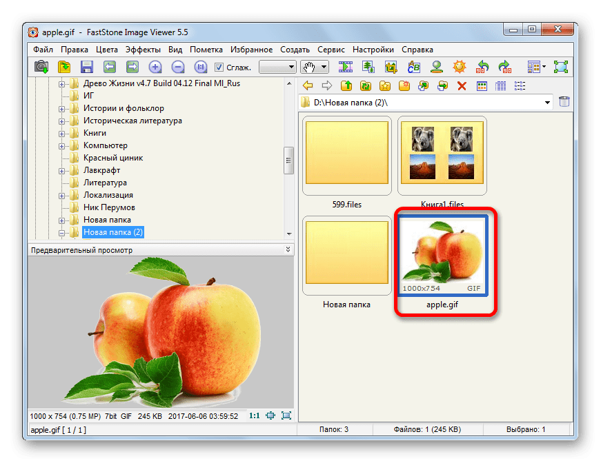 Переход к открытию изображения в файловом менеджере в программе FastStone Image Viewer