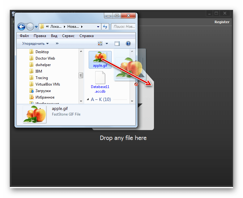 Перетягивание файла GIF тз проводника Windows в окно программы File Viewer Plus