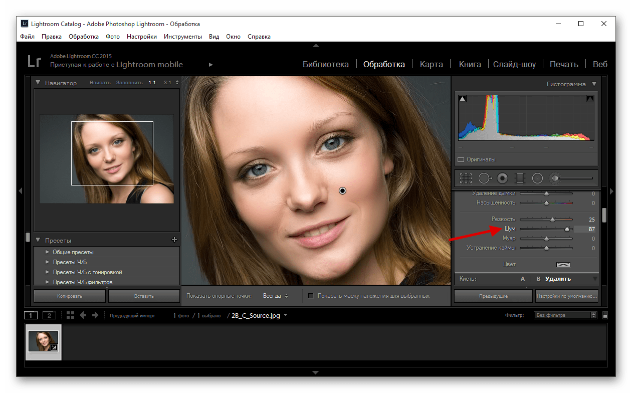 Уменьшение шума изображения в программе Adobe Photoshop Lightroom
