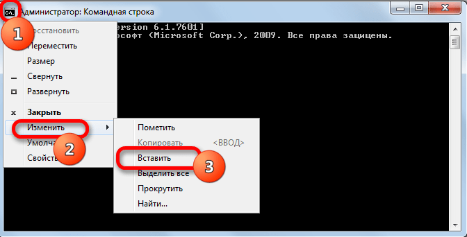 Вставка выражения в командную строку в Windows 7