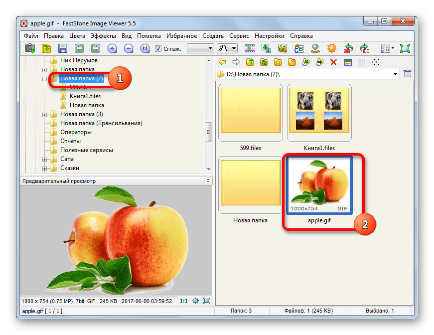 Запуск файла GIF через файловый менеджер в программе FastStone Image Viewer