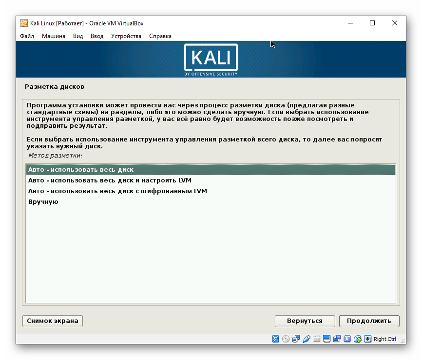 Разметка диска для Kali Linux в VirtualBox