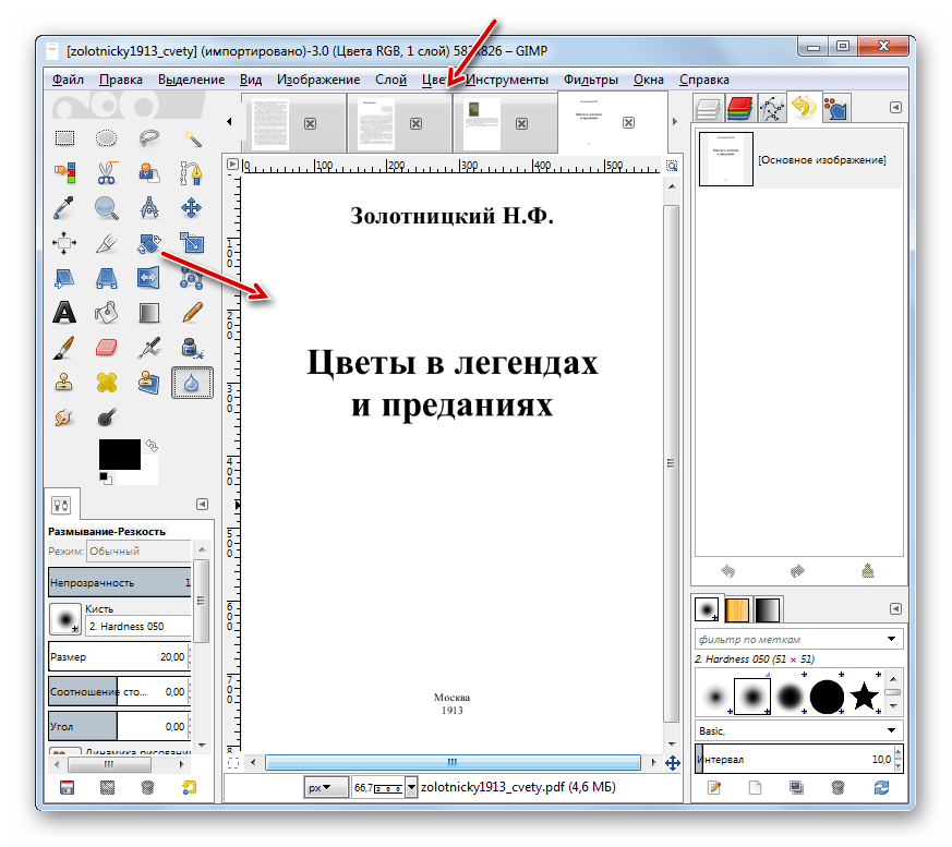 Документ PDF импортирован в программу Gimp