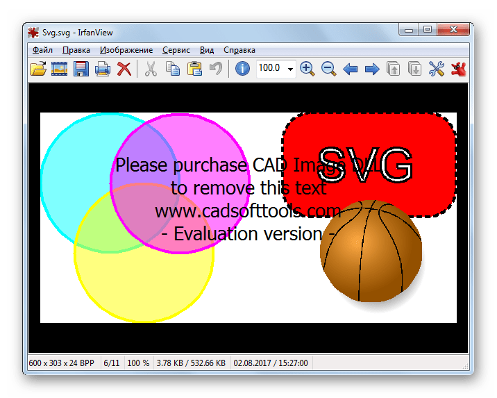 Файл SVG открыт в программе IrfanView