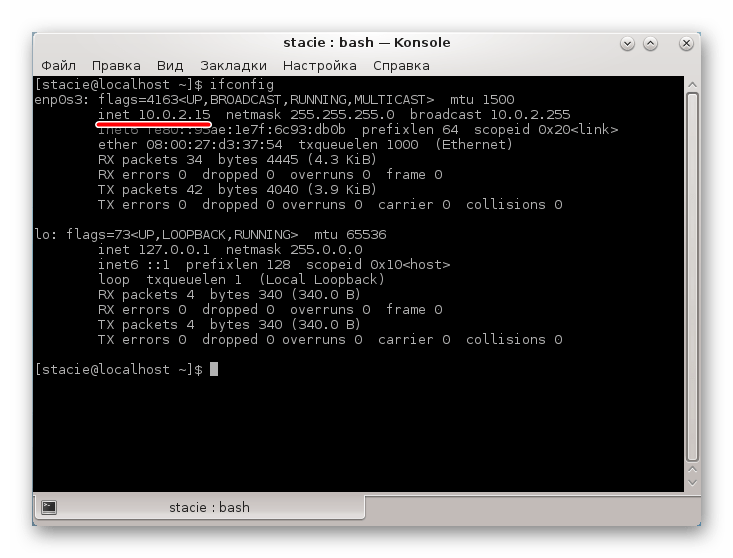 IP в терминале Linux
