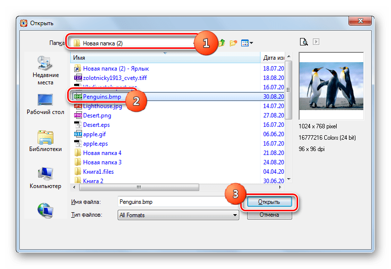 Окно открытия файла в программе FastStone Image Viewer