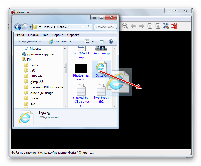 Открытие файла SVG путем его перетягивание из Проводника Windows в окно программы IrfanView