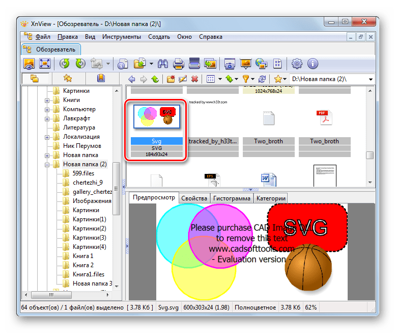 Открытие файла SVG в обозревателе программы XnView