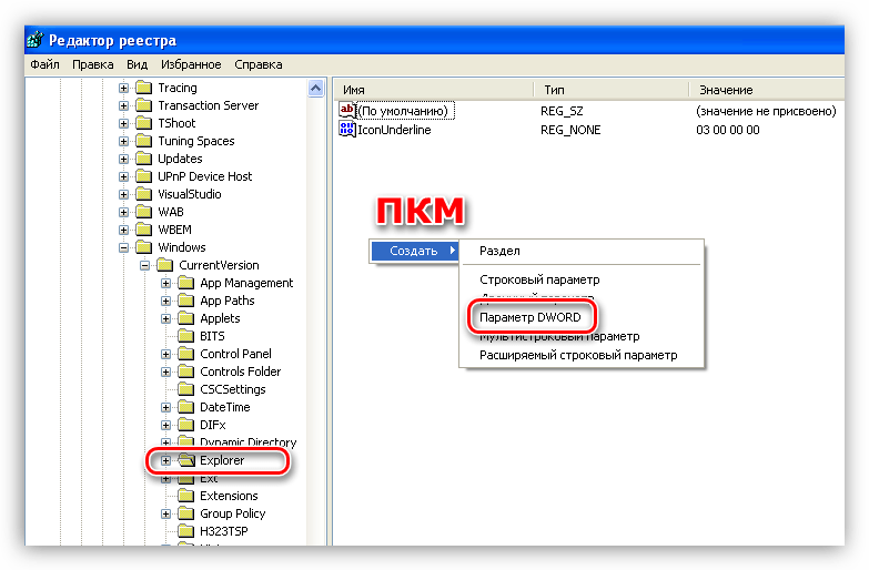 Создание параметра DWORD в утилите редактирования реестра Windows XP