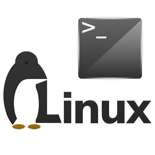 основные команды linux в терминале