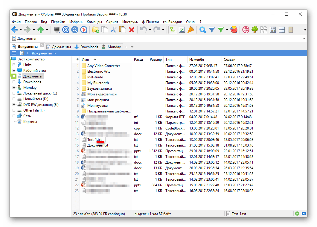 Изменение расширения файла с помощью пробной версии файлового менеджера XYplorer в Виндовс 10