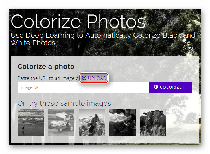 Кнопка для начала выбора файла для обработки на главной странице сайта Colorize Black