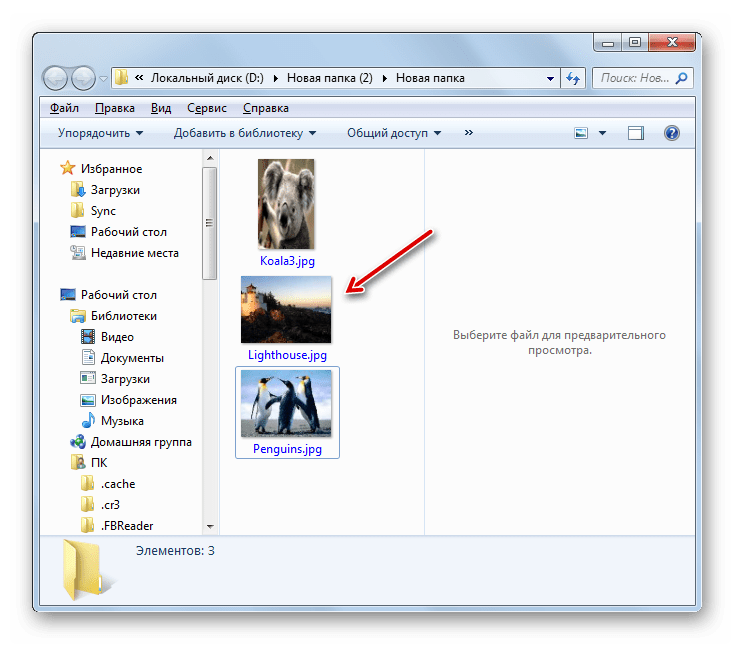 Директория хранения извлеченных файлов из архива ZIP с помощью программы HaoZip в проводнике Windows