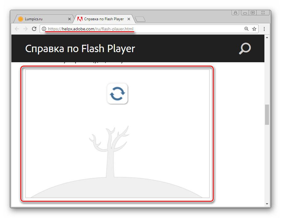 Flash Player в Google Chrome не работает. Причина - софт