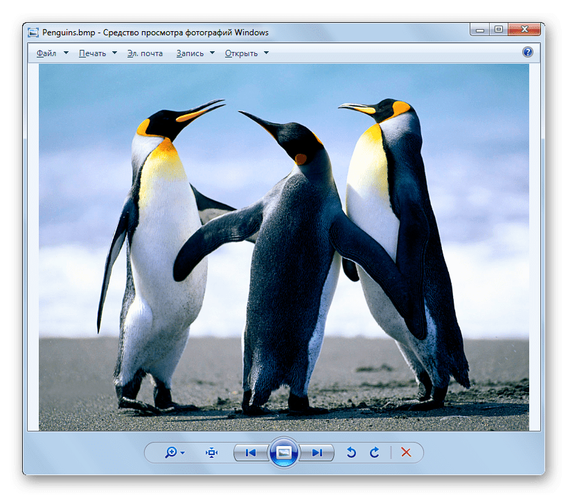 Изображение BMP открыто в оболочке средства для просмотра фотографий Виндовс в Windows 7