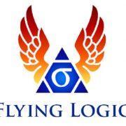 Скачать Flying Logic поsледнюю версию