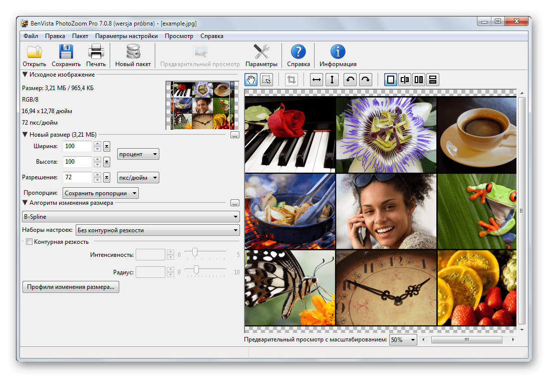 Программа для увеличения фотографий Benvista PhotoZoom Pro