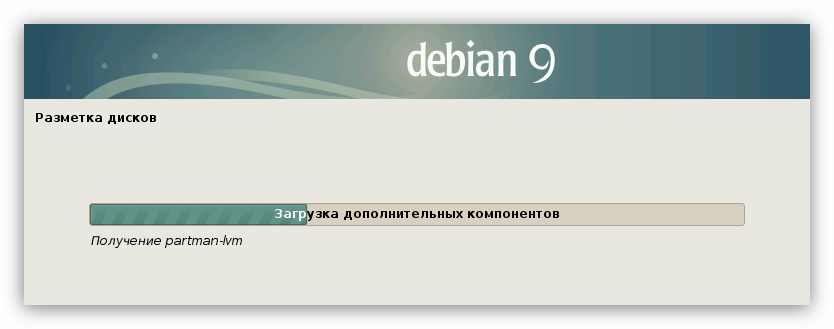 загрузка программы для разметке дисков при установке debian 9