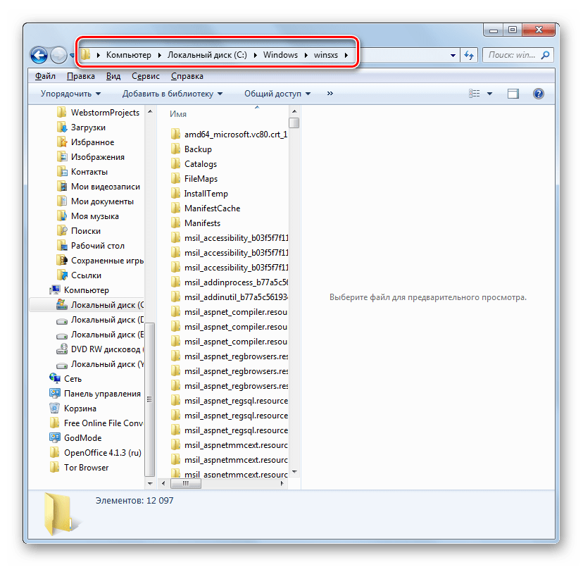 Содержимое папки WinSxS в Проводнике в Windows 7