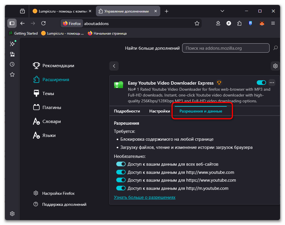 Плагины для скачивания видео в Firefox-10