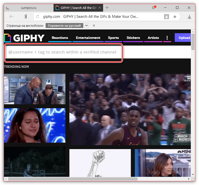 Поиск GIF на сайте Giphy.com