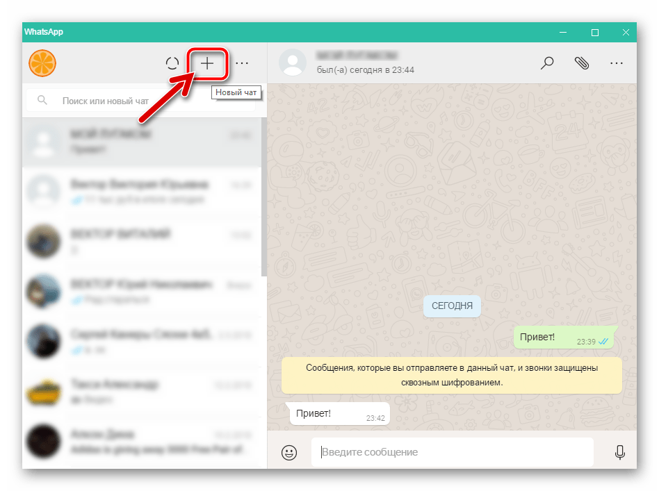 WhatsApp десктопная версия Новый чат, контакты
