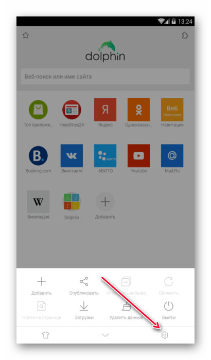 Вход в Настройки браузера Dolphin на Android