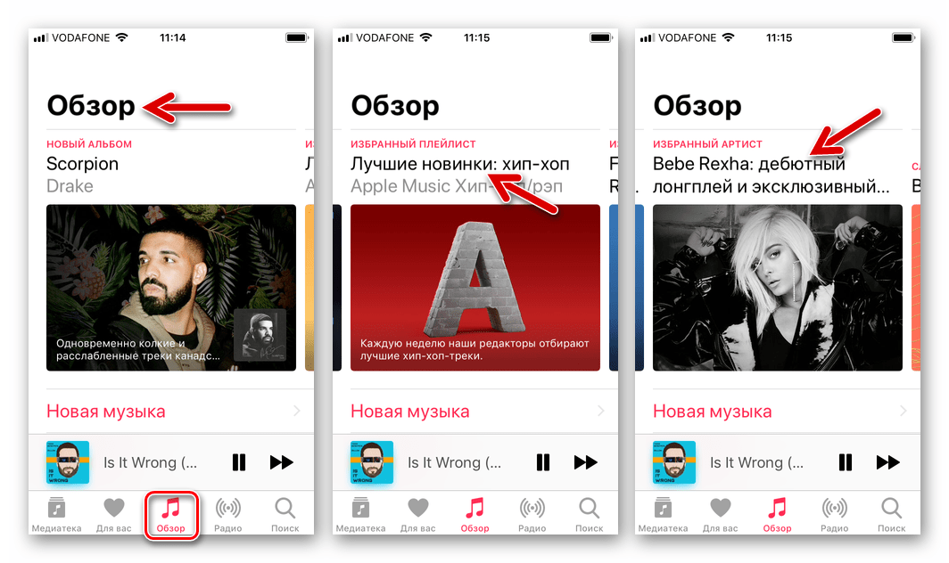 Apple Music для iOS раздел Обзор в приложении Музыка