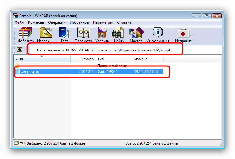 Папка хранения PKG, открытая в WinRAR