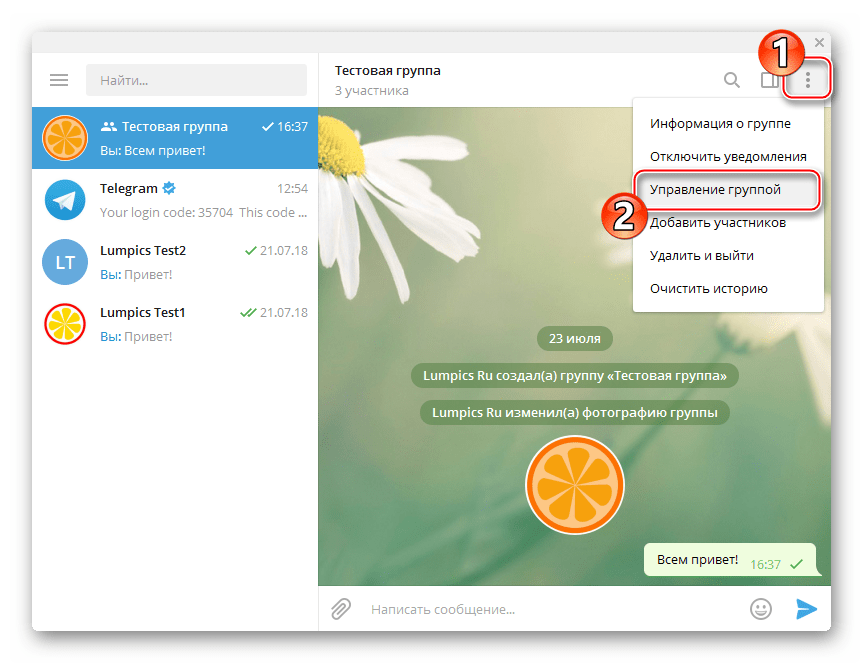 Telegram для PC Windows меню чата - Управление группой