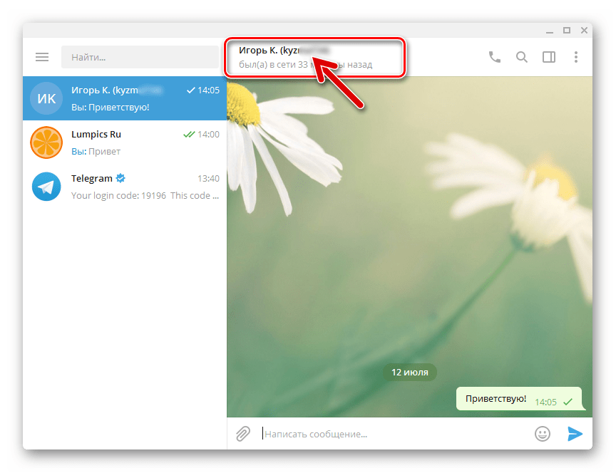 Telegram для ПК Windows чат с участником, найденным по @username