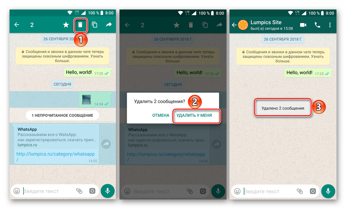 Удаление переписки. Сообщение в ватсапе. Удаленные сообщения в ватсапе. Сообщения удаленные Ватсапп. Удаленное сообщение в вацапе.