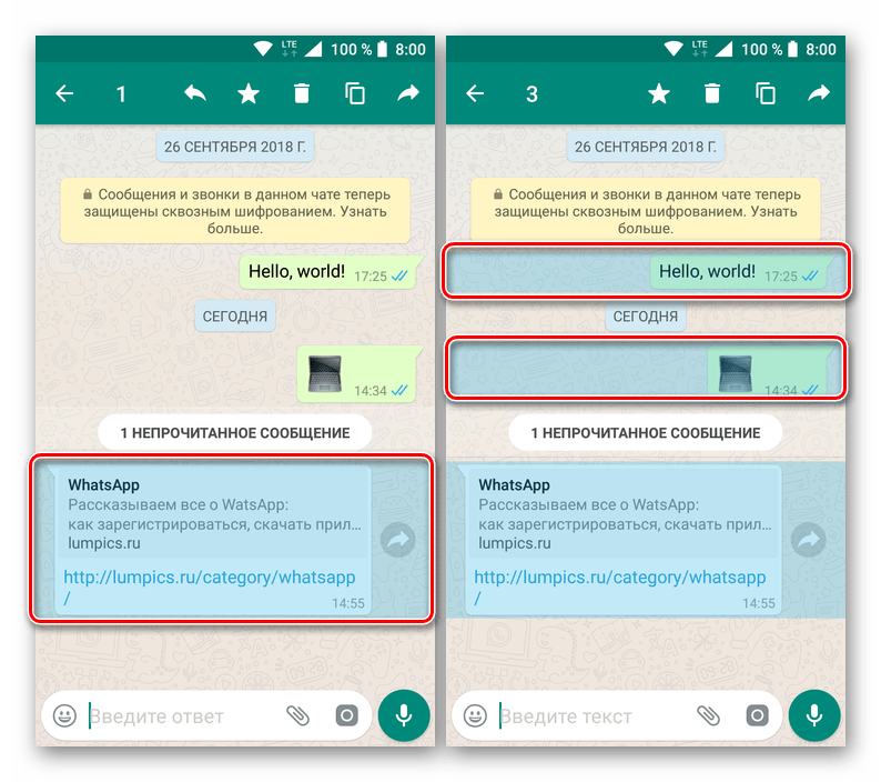 Выделить сообщение для удаления его из переписки в приложении WhatsApp для Android