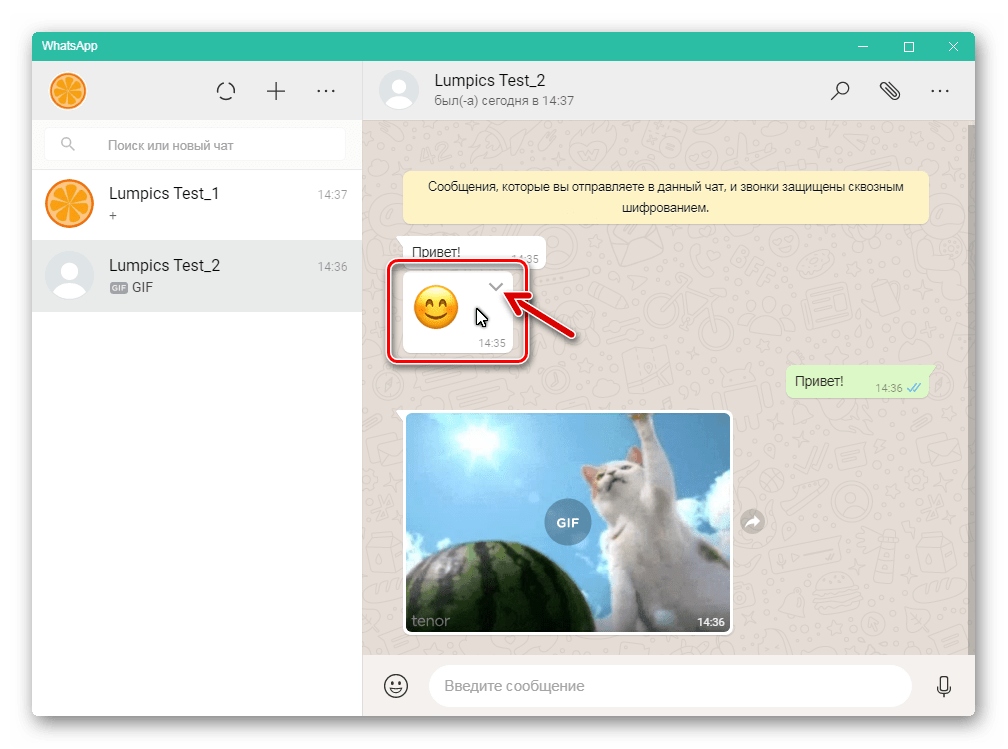 WhatsApp для Windows вызов меню действий доступных для сообщения