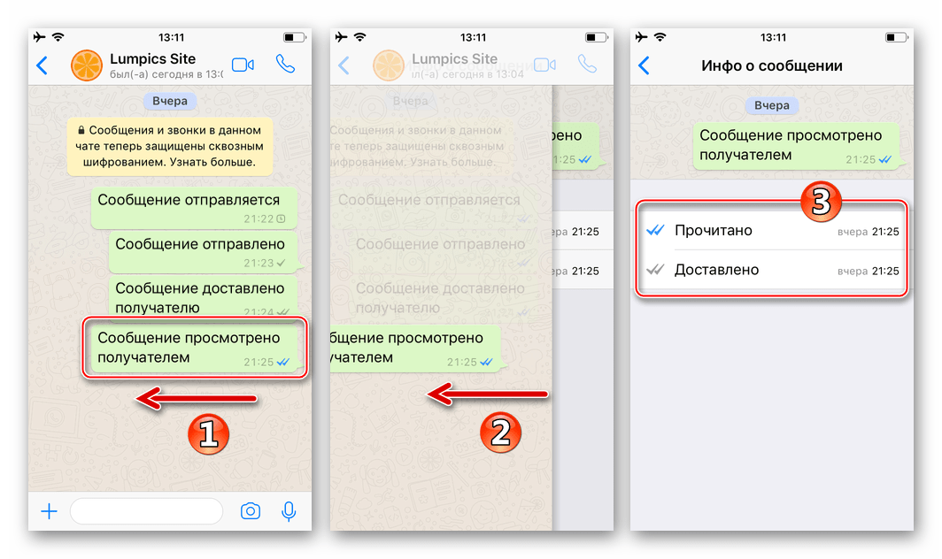 WhatsApp для iPhone смахнуть сообщение влево для получения подробной информации о нем