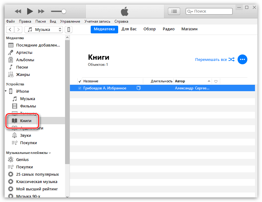 Раздел управления книгами в iTunes