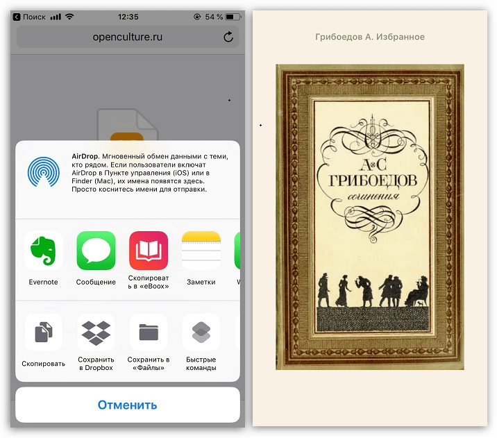 Загрузка книг на iPhone через браузер